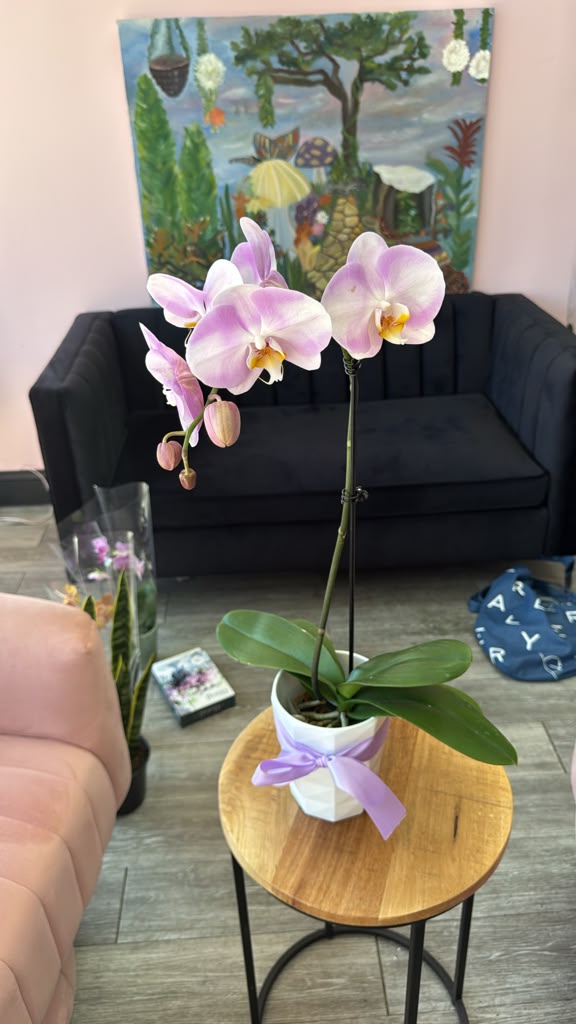 Light Purple Orchid