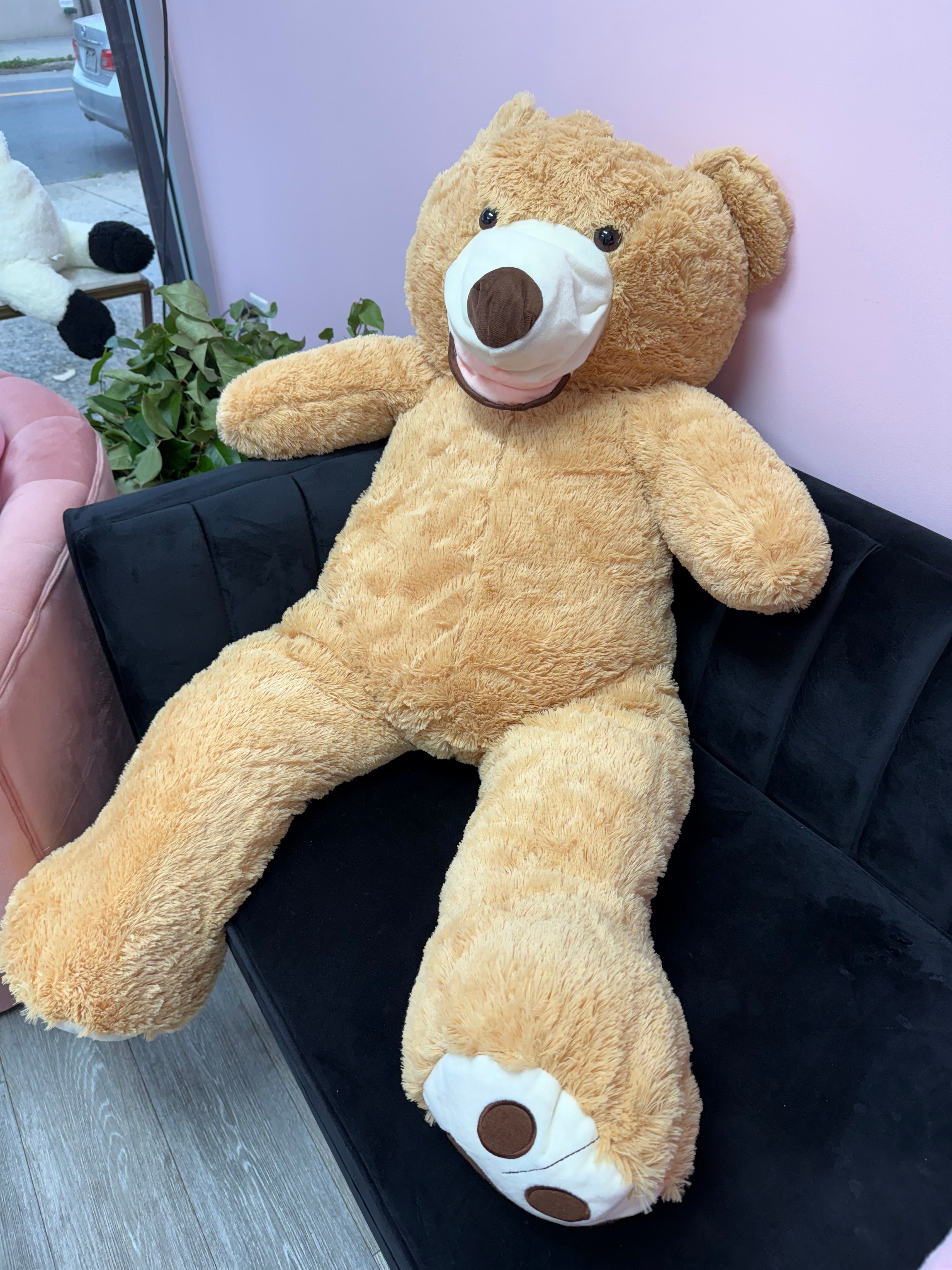 Big Teddy