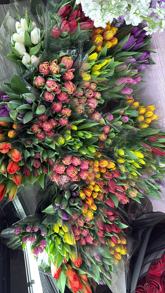 Tulips  bouquet