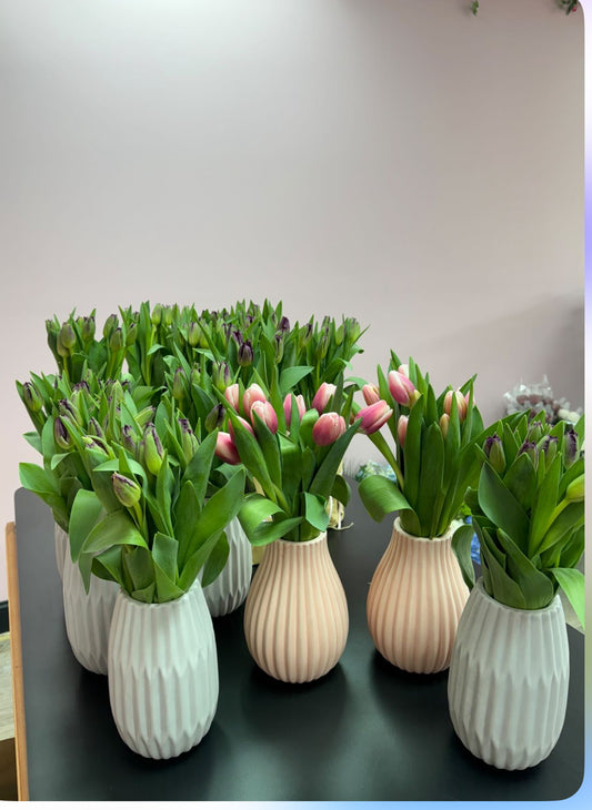 Tulips 1 bunch