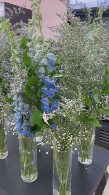 Misty blue